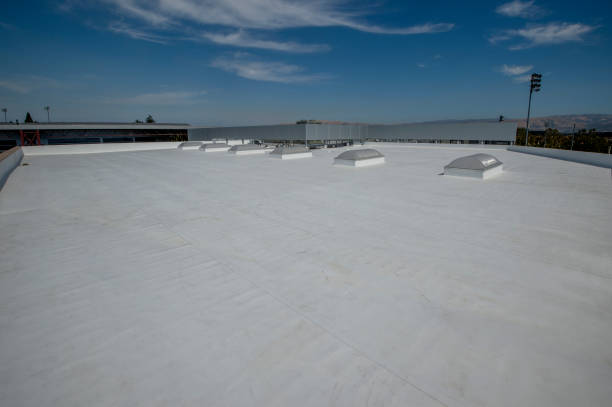 Best Steel Roofing  in Greenup, IL