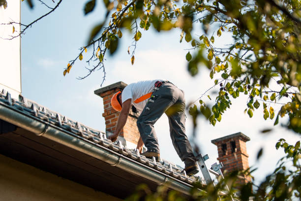 Best Emergency Roof Repair Services  in Greenup, IL