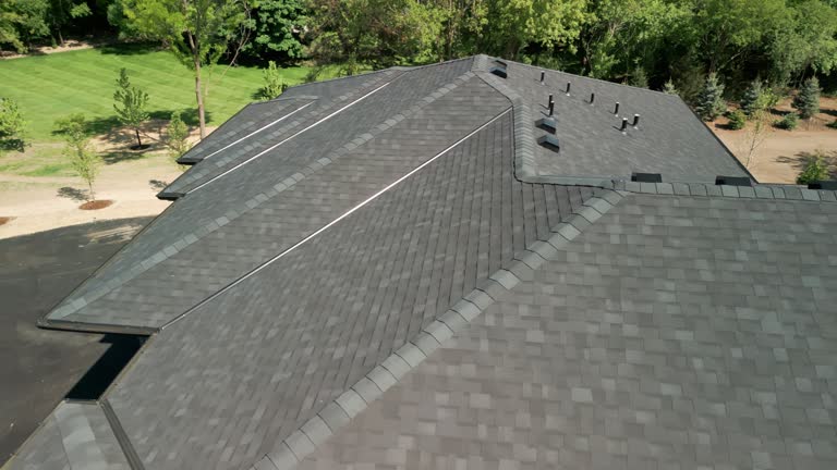 Best Solar Panel Roofing Installation  in Greenup, IL
