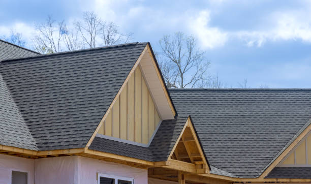 Best Roof Moss and Algae Removal  in Greenup, IL
