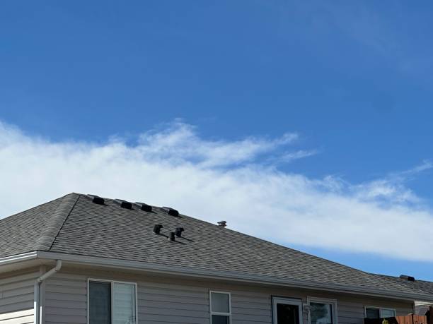 Best Roof Maintenance and Cleaning  in Greenup, IL